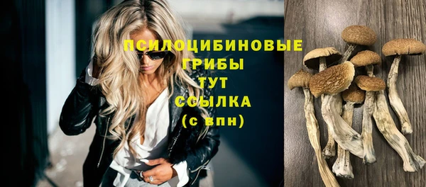 гашишное масло Новодвинск